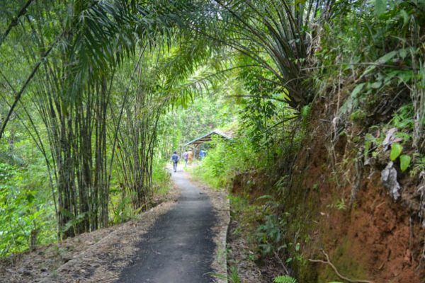 Jalan Menuju Lokasi